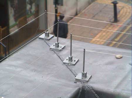 Birdwire