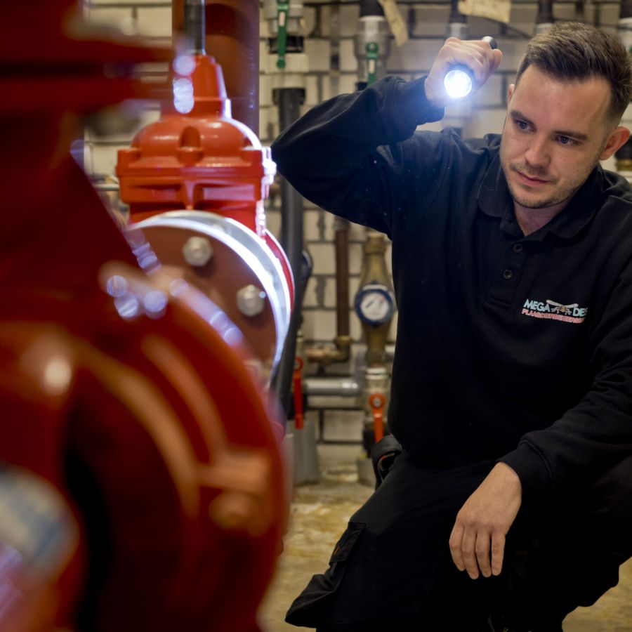 megades plaagdierbeheersing inspectie